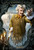 Beauty and the Beast (2017)_14 Movie Film Poster Canvas iconic design
