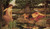 Waterhouse_Echo_and_Narcissus Poster Canvas Movie Film Print A0 A1 A2 A3 A4 A5 A