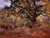 Monet_Bodmer_Oak_by_Monet Poster Canvas Movie Film Print A0 A1 A2 A3 A4 A5 A6 Ar