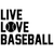 live love baseball-01 (3) Sarcastic Poster Canvas Print A0 A1 A2 A3 A4 A5 A6 Art