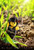 The Lego Ninjago Movie (2017)_7 Poster Canvas Movie Film Print A0 A1 A2 A3 A4 A5
