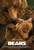Bears (2014)_1 Movie Film Poster Canvas iconic design