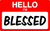 HELLO IM BLESSED (2) Poster Canvas Movie Film Print A0 A1 A2 A3 A4 A5 A6 Art Wal