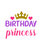 Birthday princess-01 (2) Poster Canvas Movie Film Print A0 A1 A2 A3 A4 A5 A6 Art
