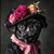 Pug with a decorative hat featuring a variety of flowers, including large pink b