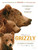 Bears (2014)_3 Movie Film Poster Canvas iconic design