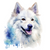 American Eskimo Dog (1) Poster Canvas Movie Film Print A0 A1 A2 A3 A4 A5 A6 Art