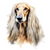 Afghan Hound (3) Poster Canvas Movie Film Print A0 A1 A2 A3 A4 A5 A6 Art Wall De