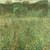 Orchard- Klimt 1904-05 Poster Canvas Movie Film Print A0 A1 A2 A3 A4 A5 A6 Art W