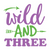 wild and three-01 Poster Canvas Movie Film Print A0 A1 A2 A3 A4 A5 A6 Art Wall D