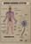 Human nervous system 1 Poster Canvas Movie Film Print A0 A1 A2 A3 A4 A5 A6 Art W