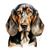 Transylvanian Hound (2) Poster Canvas Movie Film Print A0 A1 A2 A3 A4 A5 A6 Art