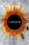 I Origins (2014)_0 Poster Canvas Movie Film Print A0 A1 A2 A3 A4 A5 A6 Art Wall