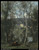 jean-baptiste-camille-corot--woman-gathering-faggots_11077497184_o(1) Poster Can