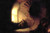 Philosopher in Meditation, Rembrandt, 1632- upscaled Poster Canvas Movie Film Pr