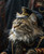 Military Pet PortraitPortrait CustomHistory Pet PortraitRegal Pet PortraitPet Po