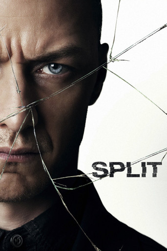 Split 2 Poster Canvas Movie Film Print A0 A1 A2 A3 A4 A5 A6 Art Wall ...