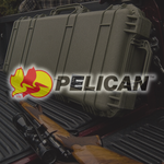 Pelican
