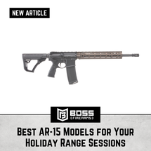 Best AR-15 Models for Your Holiday Range Sessions
