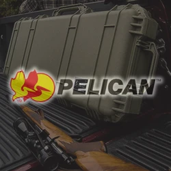 Pelican