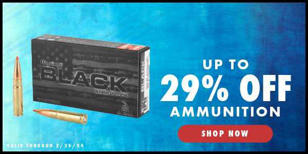 Presidents' Day Sale - Ammunition