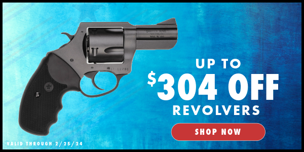 Presidents' Day Sale - Revolvers