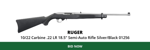 Ruger 10/22 Carbine .22 LR 18.5" Semi-Auto Rifle Silver/Black 01256
