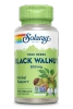 Originating in ancient Persia, black walnut hulls have a long history of use throughout the world. Black walnut hulls contain a phytochemical known as juglone, believed to be the source of its health benefits. Black walnut may provide nutritive support for intestinal wellness.