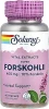  Solaray Vital Extracts Super Forskohlii 400 mg 10% Forskolin 60 Vegcaps
