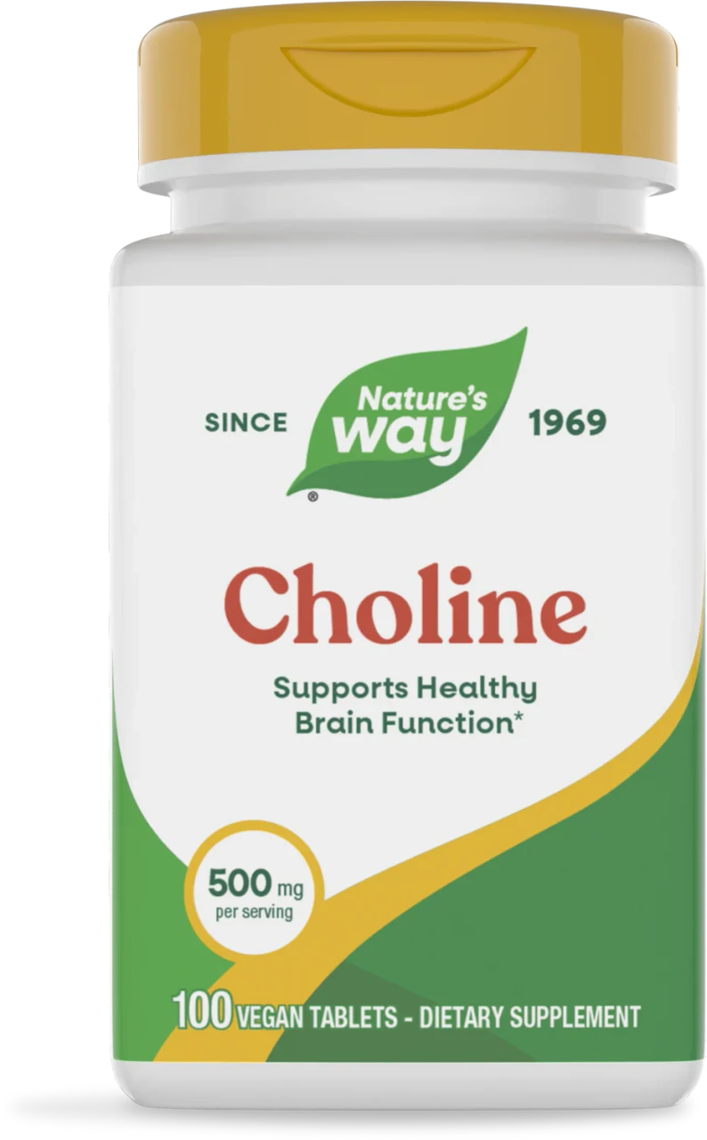 Nature’s Way Choline 500MG
