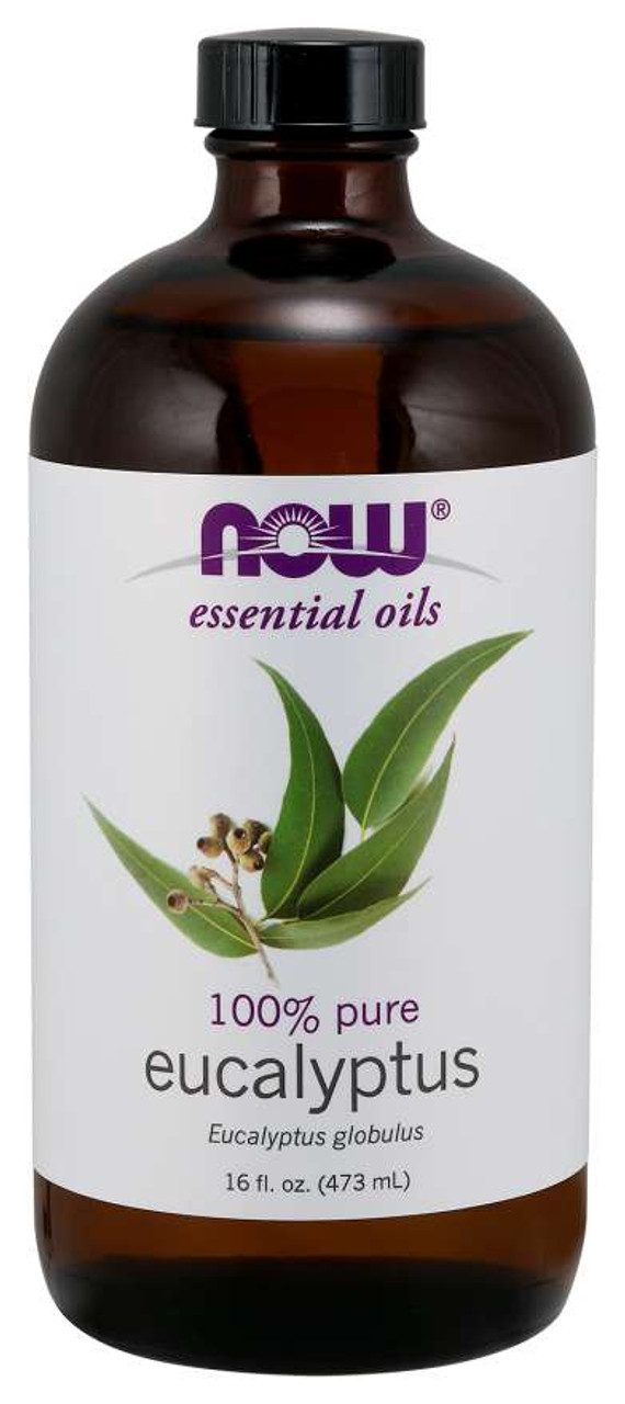 Eucalyptus Globulus Oil - 16 fl. oz.