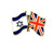 Mix Country Friendship Flags with Israel pretty Lapel PIN patriot gift