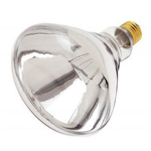 Heat Lamp Bulb (New)