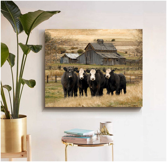 Barn Black Angus Cow Canvas Gift for Cow Lover Barn Black Angus Cow Canvas Gift for Cow Lover