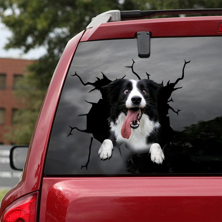 Border Collie Crack Dog Sticker Cute Funny Car Decal