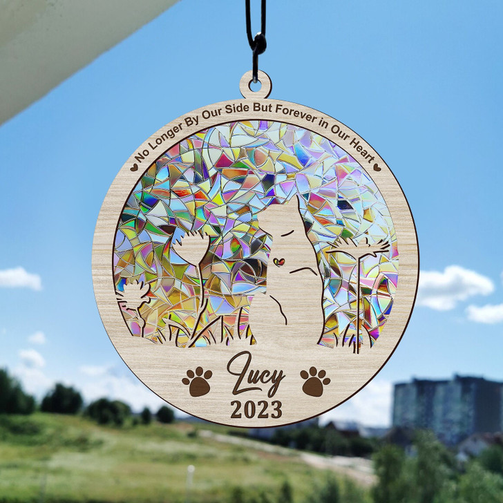 Personalized Cat Loss Rememberance Gift, Custom Name Loss Of Cat Suncatcher Ornament