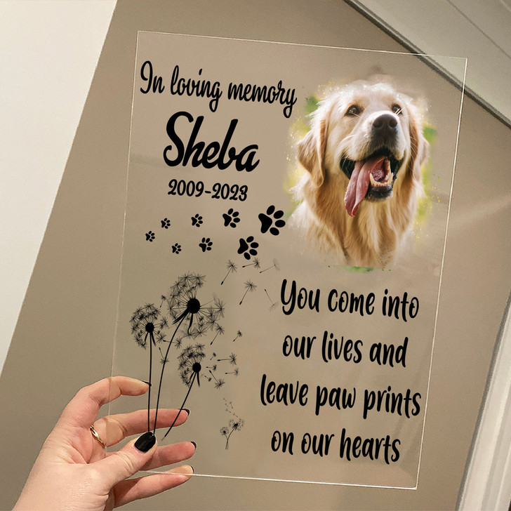 Personalized Acrylic Memorial Gift for Dog Lover Photo Upload