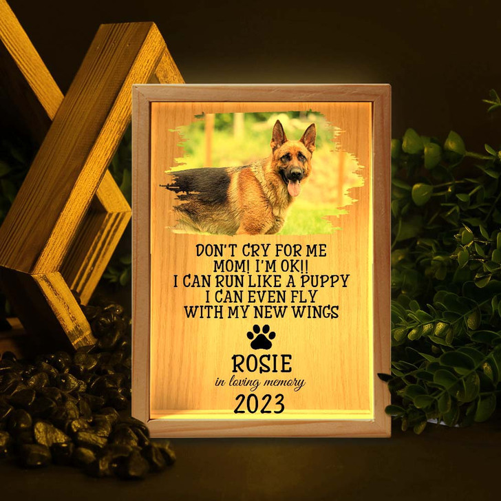 Personalized In Loving Memory of Your Dog Light Box, Memorial Gift for Dog Lovers
