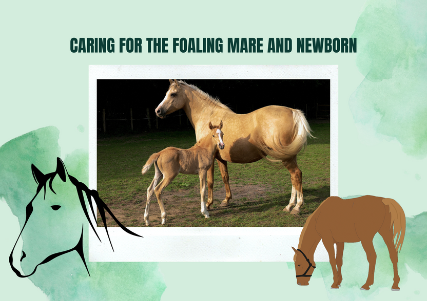 ​CARING FOR THE FOALING MARE AND NEWBORN