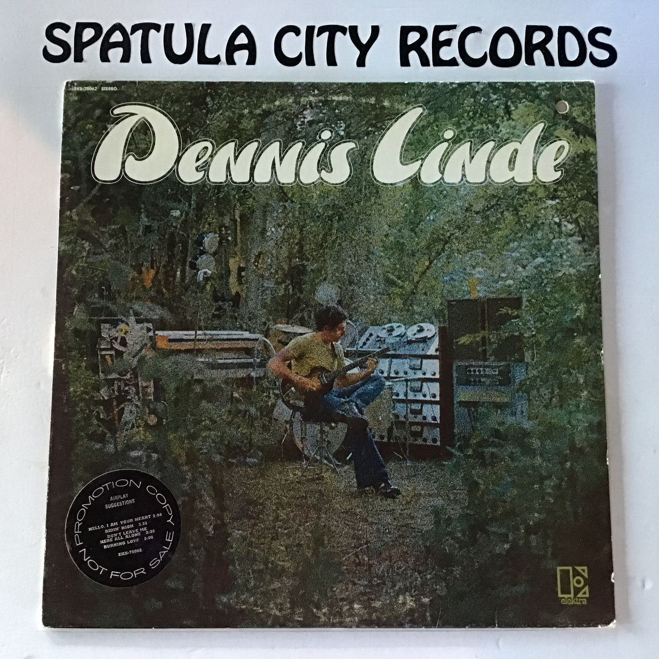 Dennis Linde - Dennis Linde self-titled - WLP - PROMO - vinyl record album LP