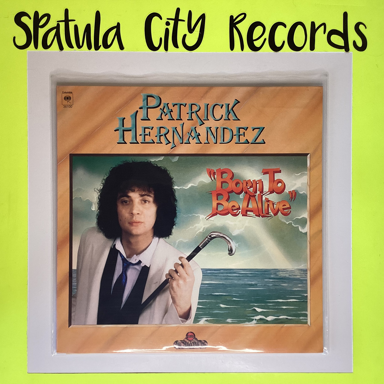 Patrick Hernandez - Born To Be Alive - WLP PROMO - vinyl record LP