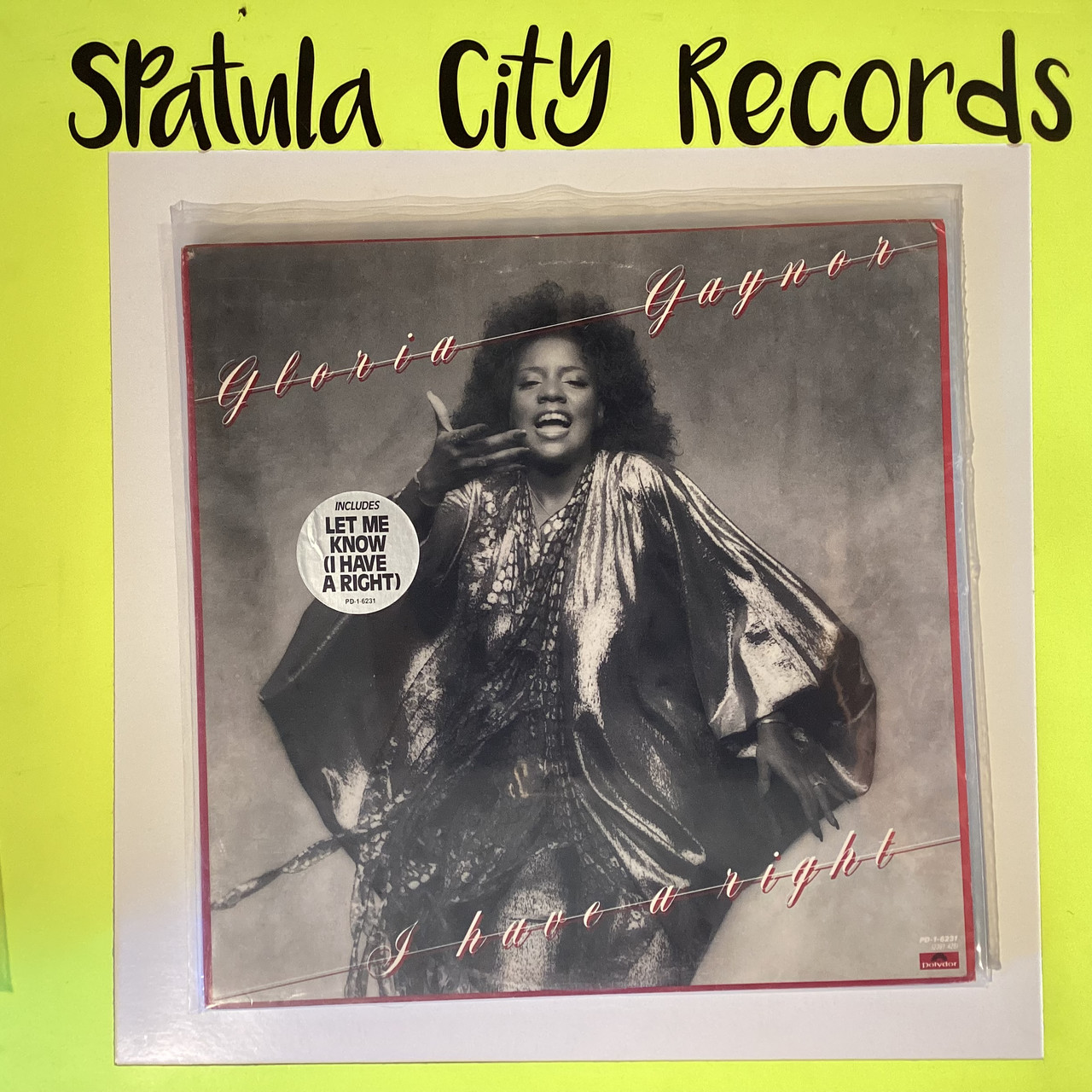 Gloria Gaynor - I have a right - WLP PROMO -  vinyl record album LP