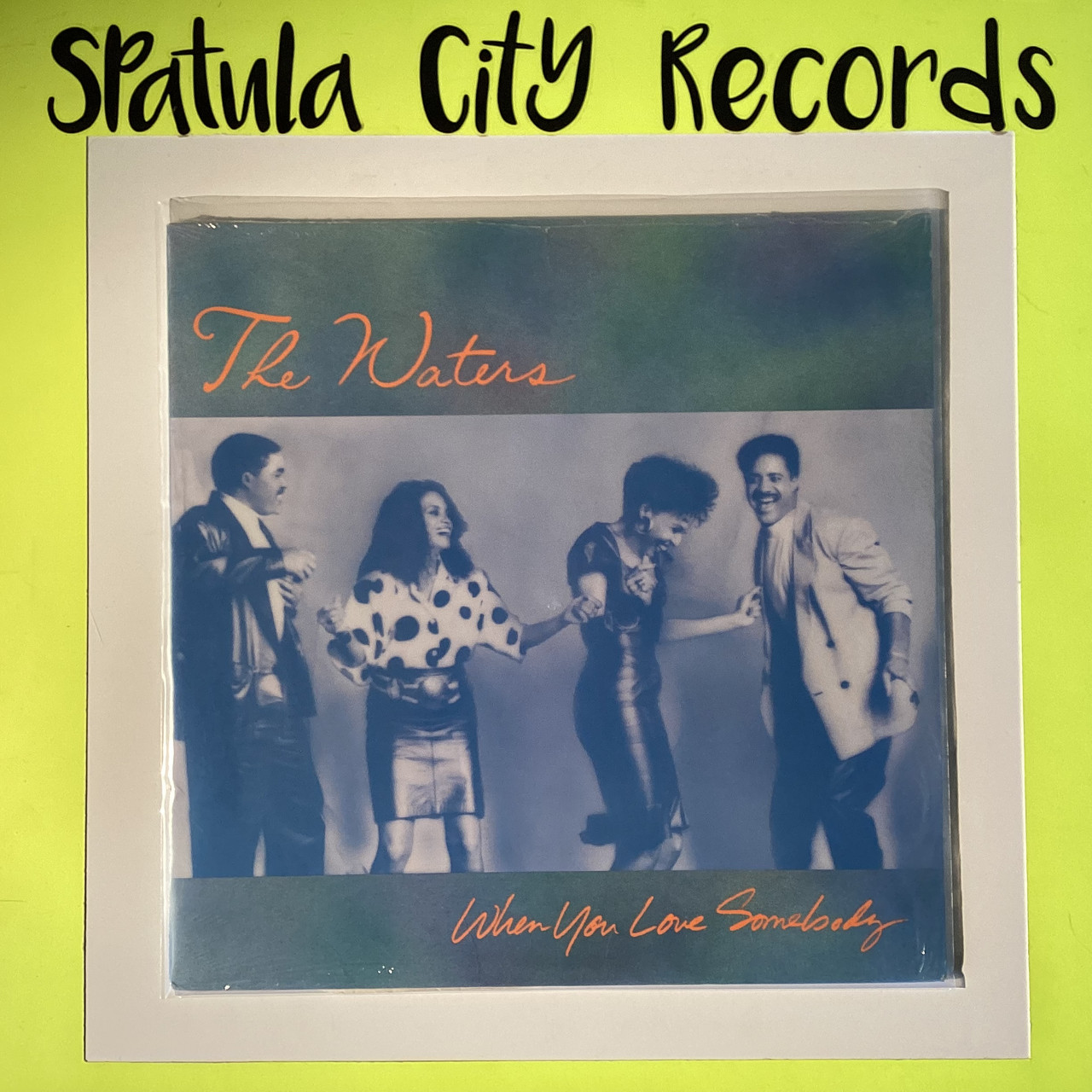 The Waters - When You Love Somebody - 12" single - vinyl record LP