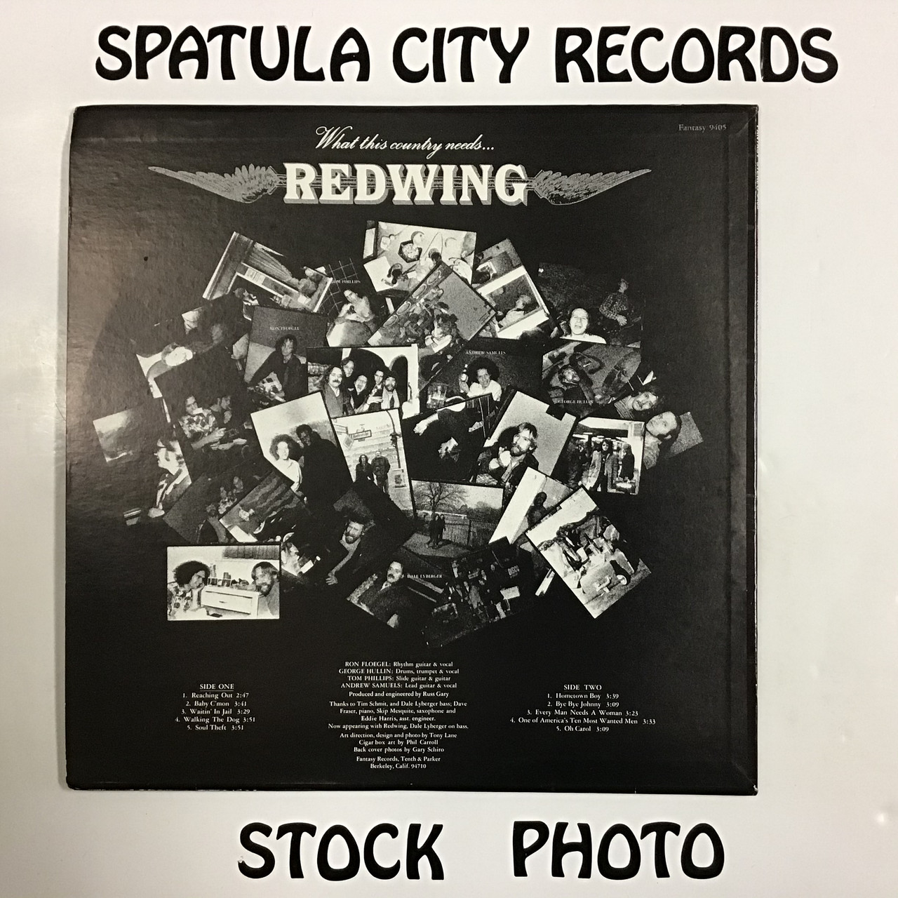 Redwing - What This Country Needs - PROMO -vinyl record LP