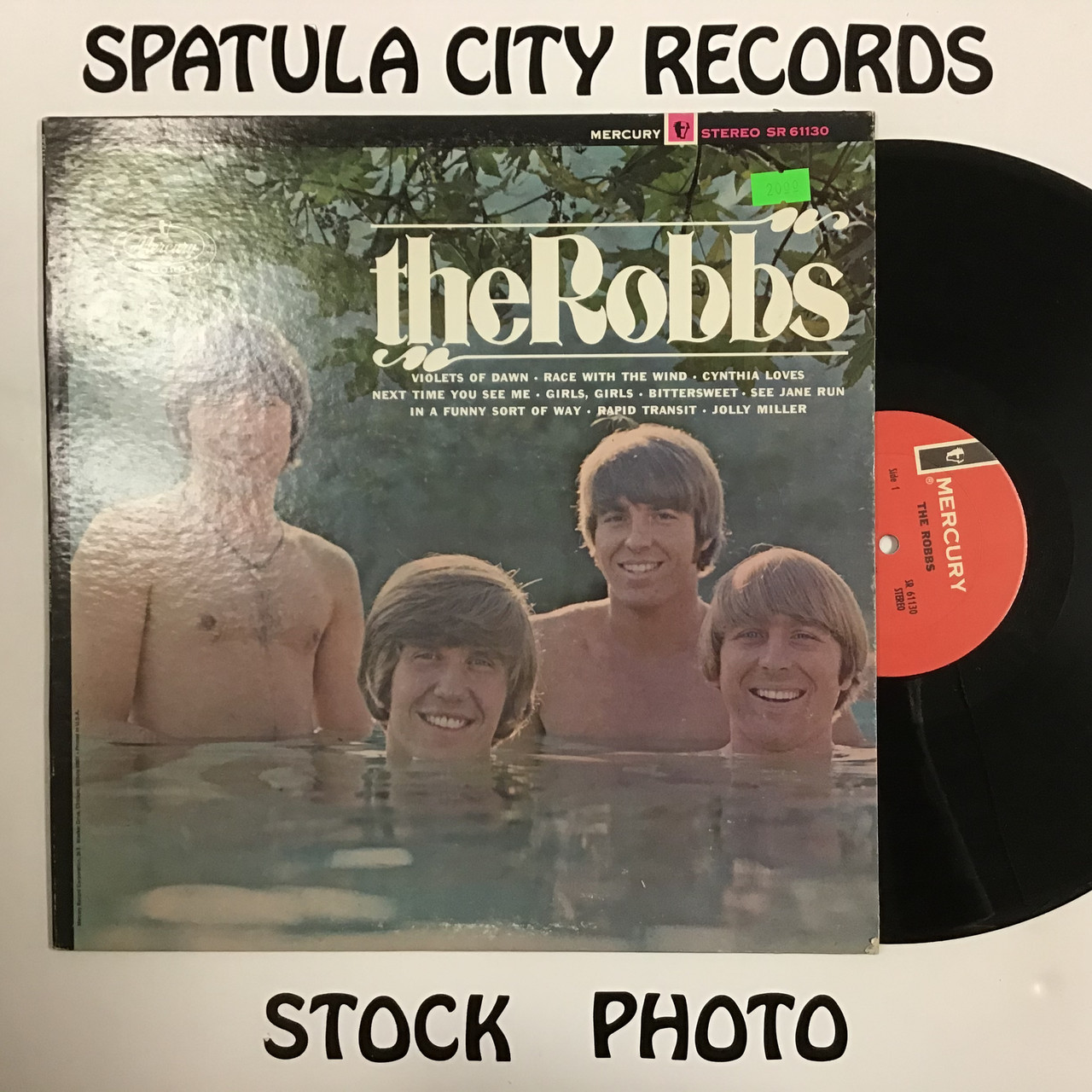 Robbs, The - The Robbs - vinyl record LP