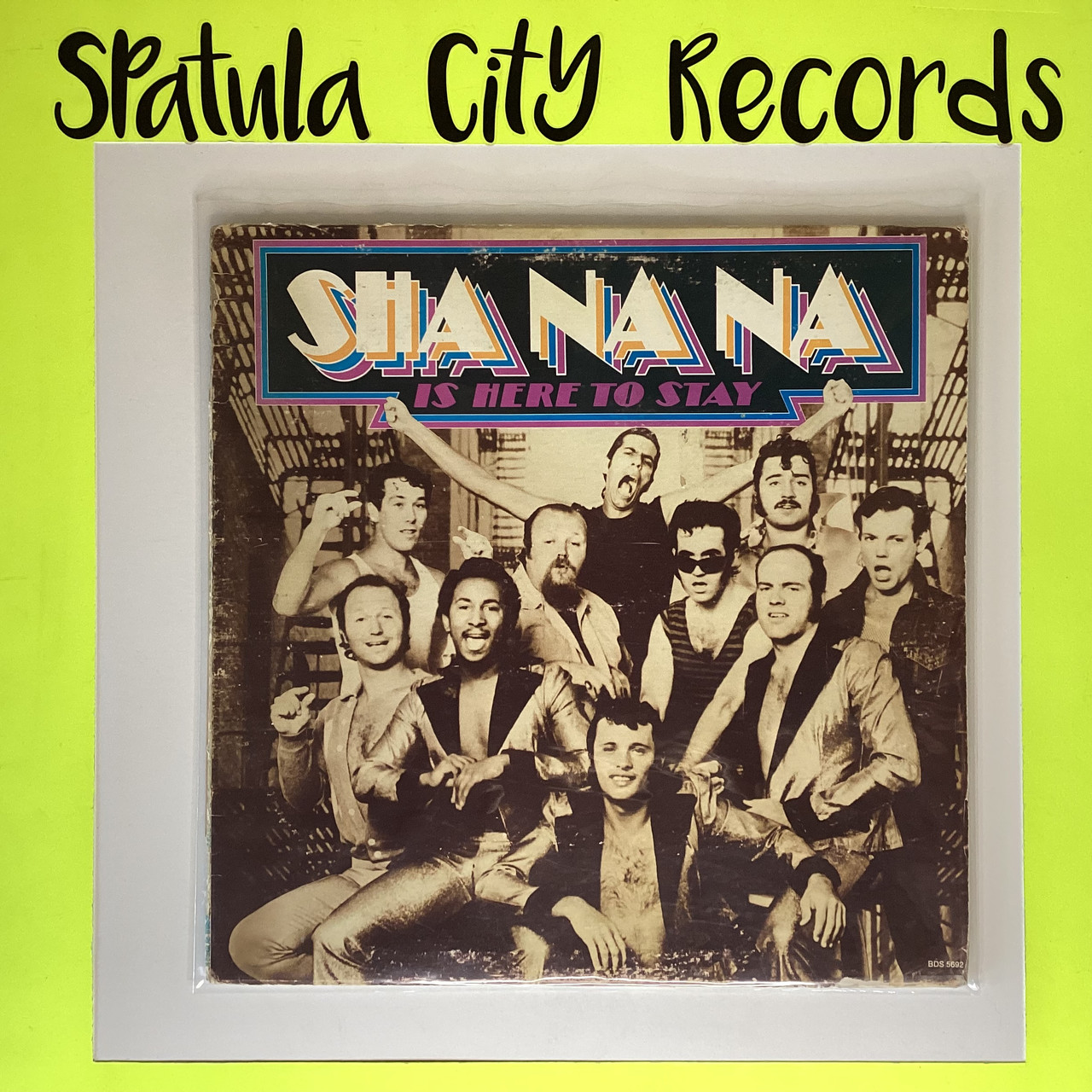 Sha Na Na - Sha Na Na Is Here To Stay - vinyl record album LP