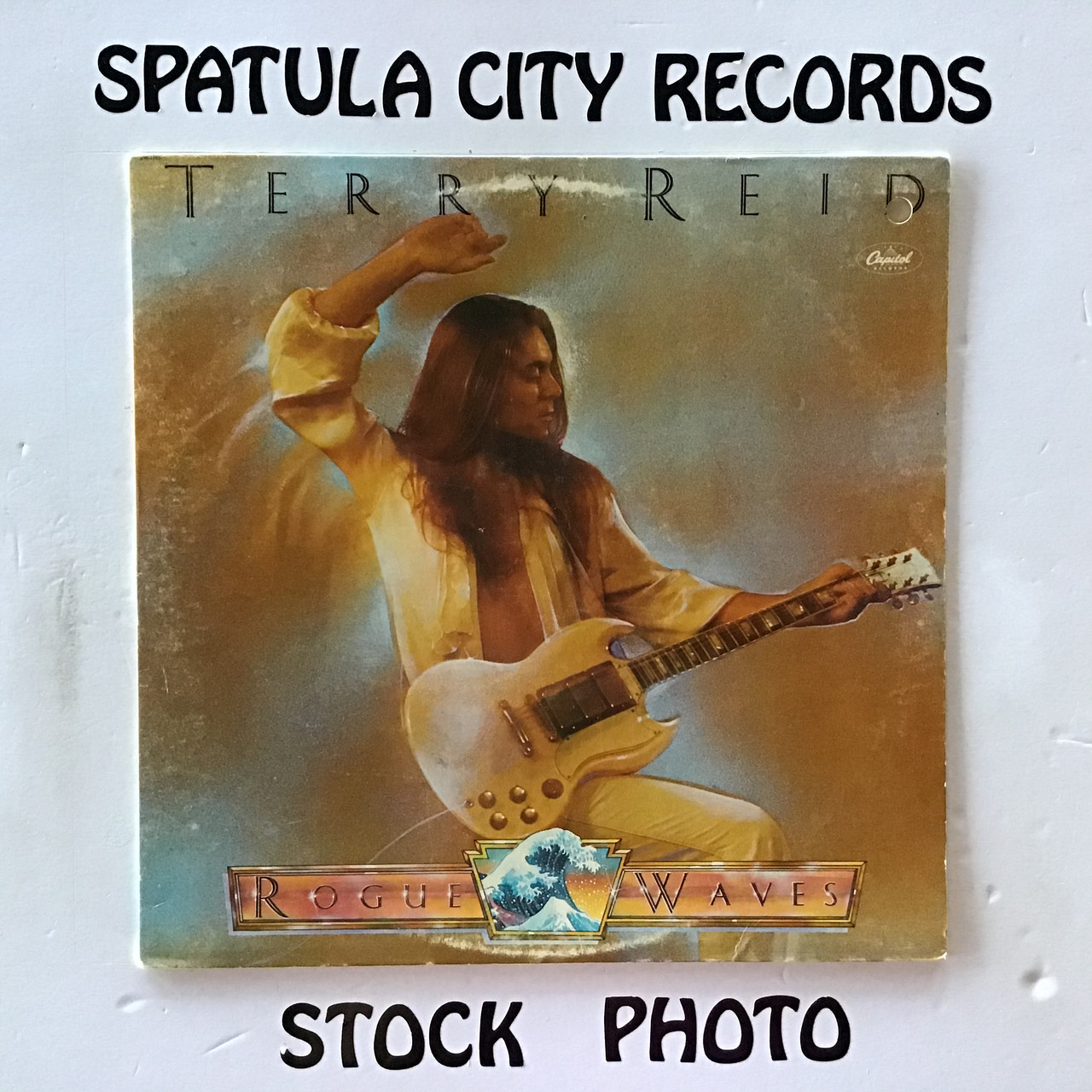 Terry Reid - Rogue Waves - vinyl record LP