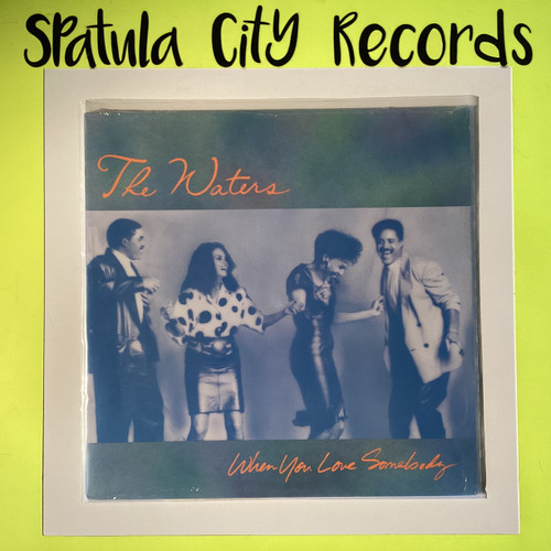 The Waters - When You Love Somebody - 12" single - vinyl record LP