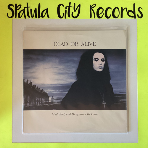 Dead Or Alive – Mad, Bad And Dangerous To Know - vinyl record album LP