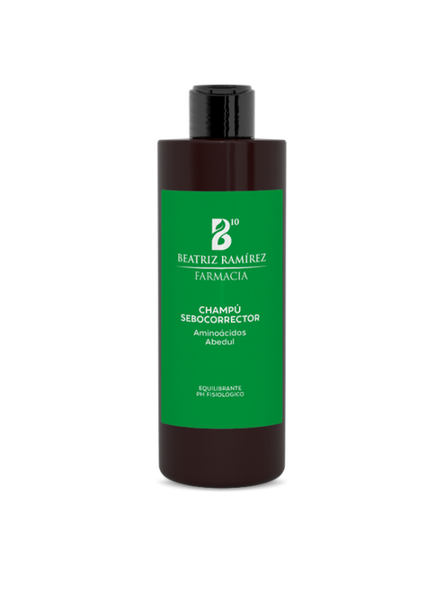 B10 CHAMPU SEBOCORRECTOR 400 ML